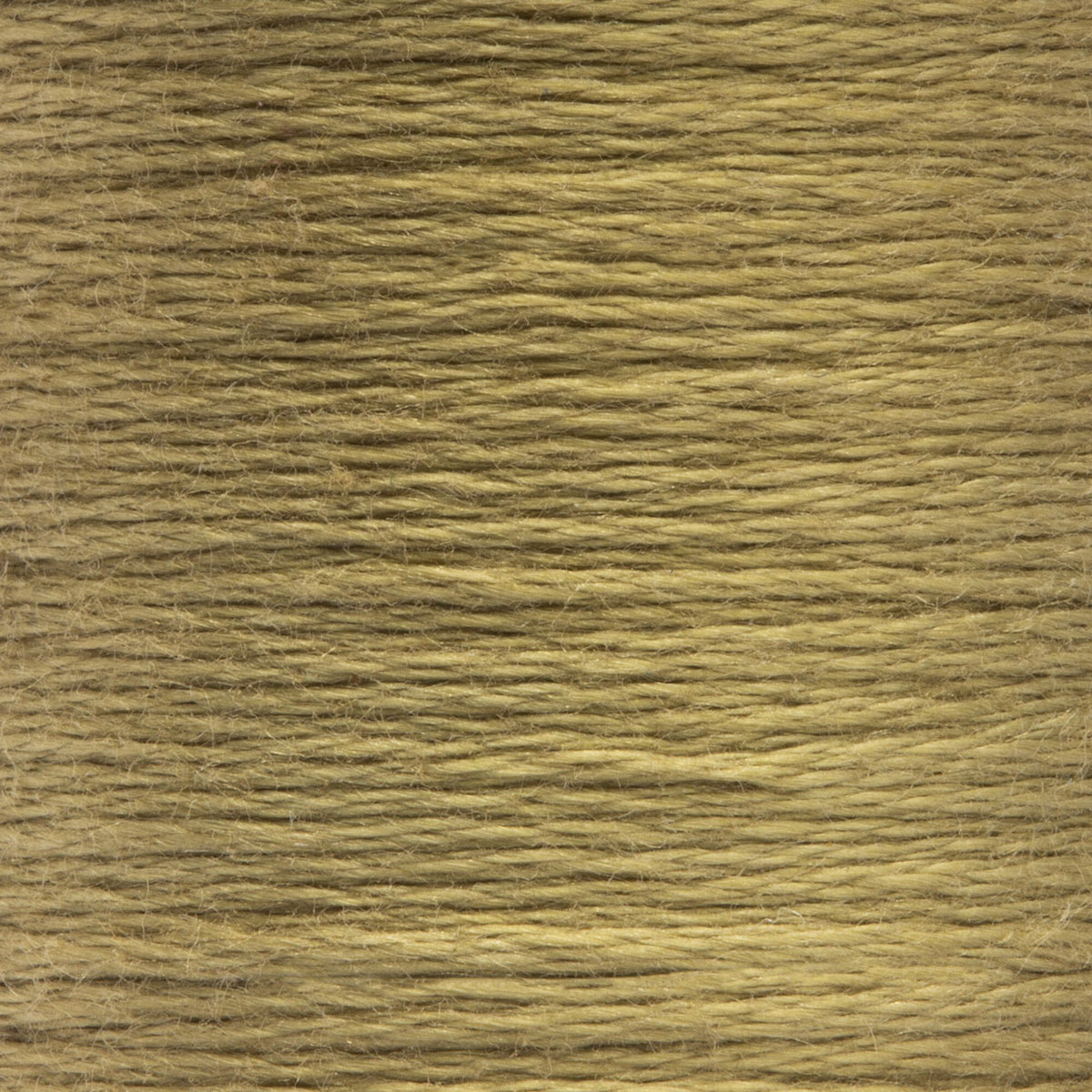 0854 Turf Medium Light