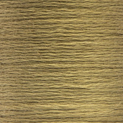 Anchor Spooled Floss 10 Meters - Clearance Shades 0854 Turf Medium Light