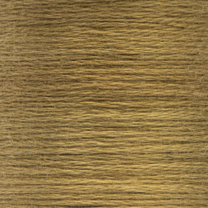 Anchor Spooled Floss 10 Meters - Clearance Shades 0855 Turf Medium