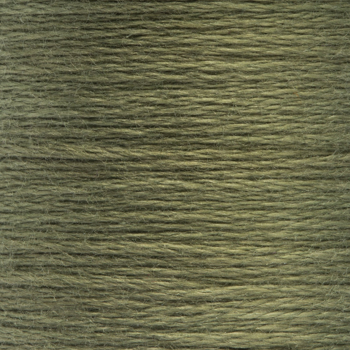 0860 Laurel Green Medium Light