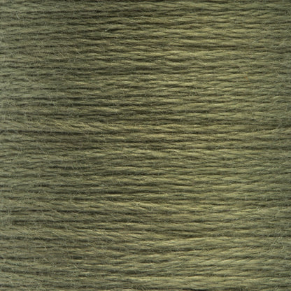 Anchor Spooled Floss 10 Meters - Clearance Shades 0860 Laurel Green Medium Light