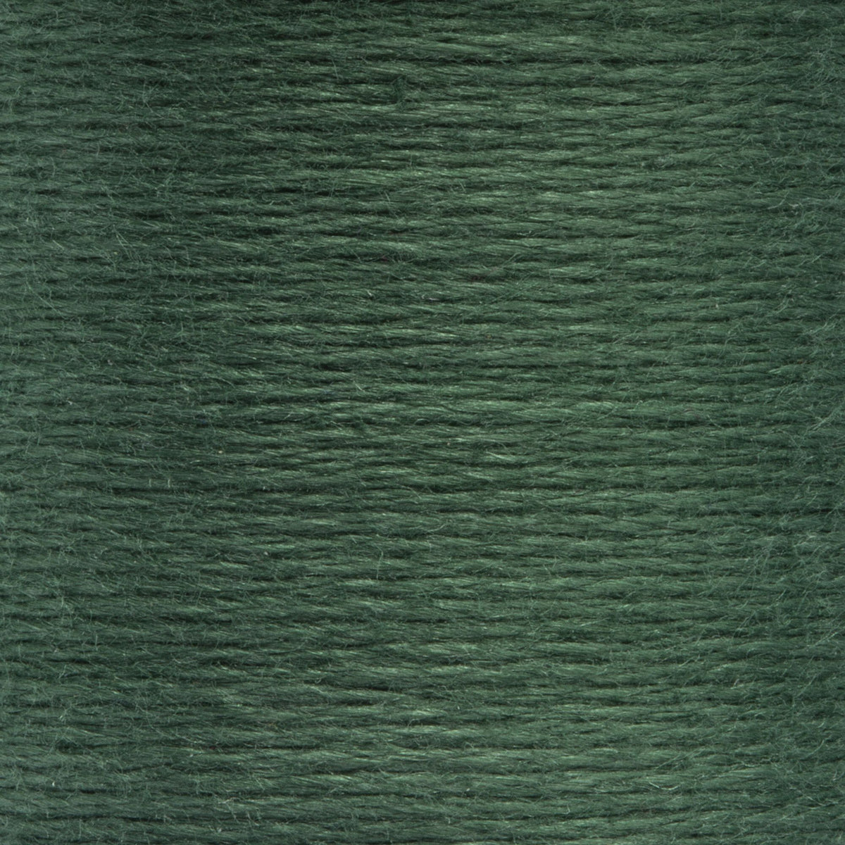 0878 Pine Medium Dark