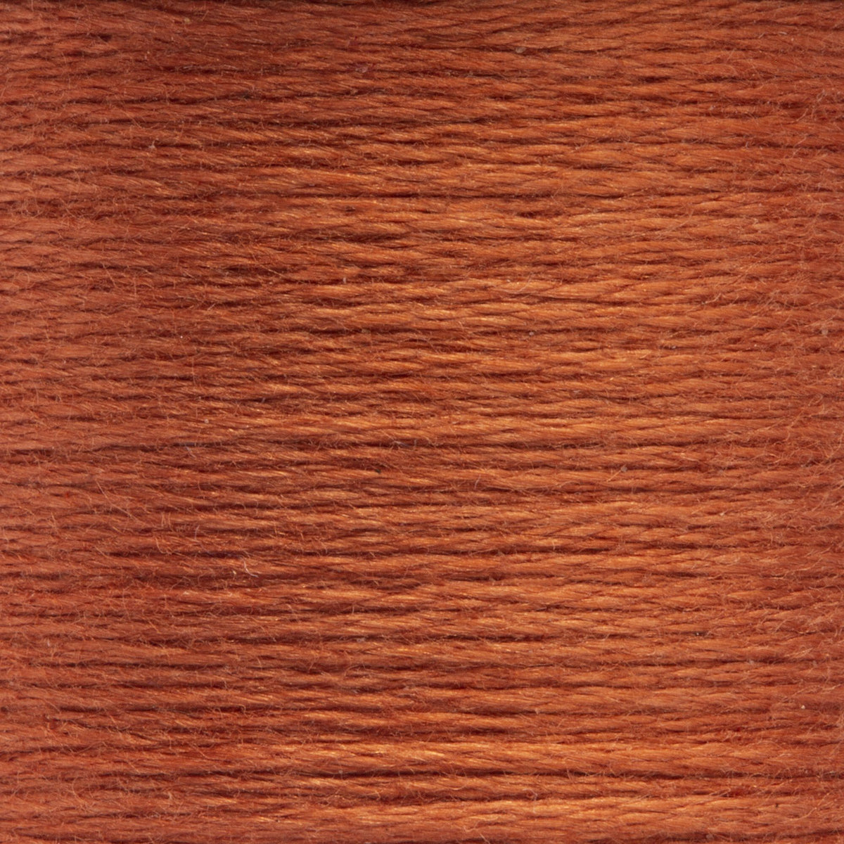 0884 Copper Dark
