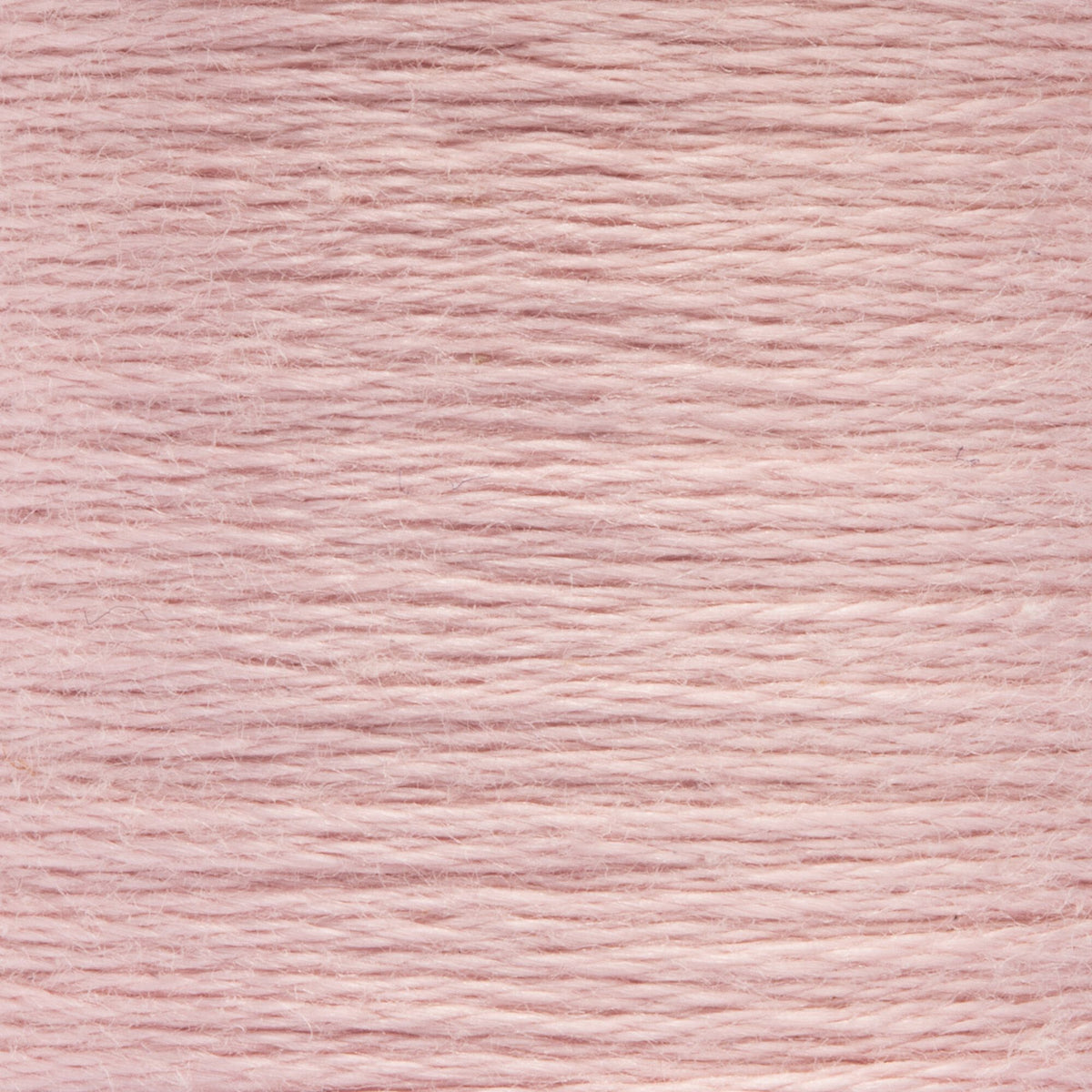 0968 Wineberry Light