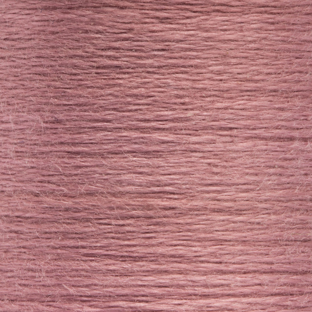 0969 Wineberry Medium