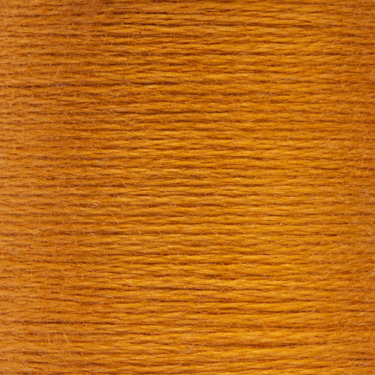 1001 Antique Gold Medium