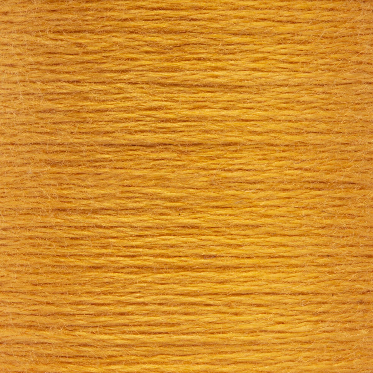 1002 Antique Gold Light