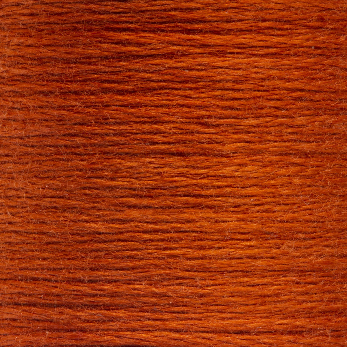 1004 Apricot Very Dark