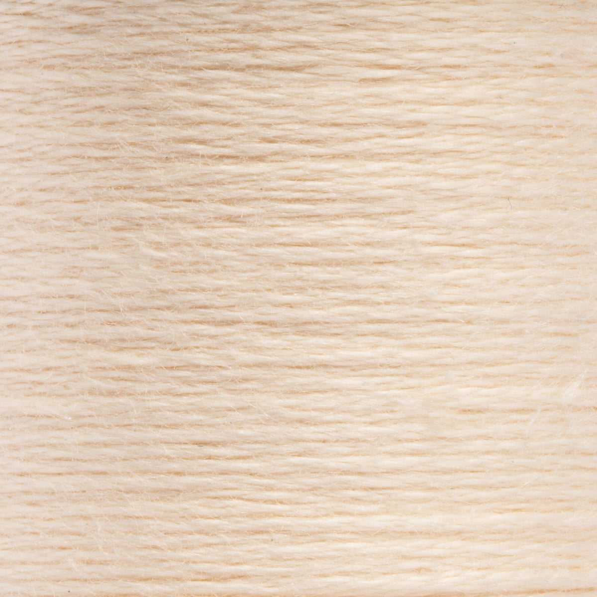 1009 Copper Very Light