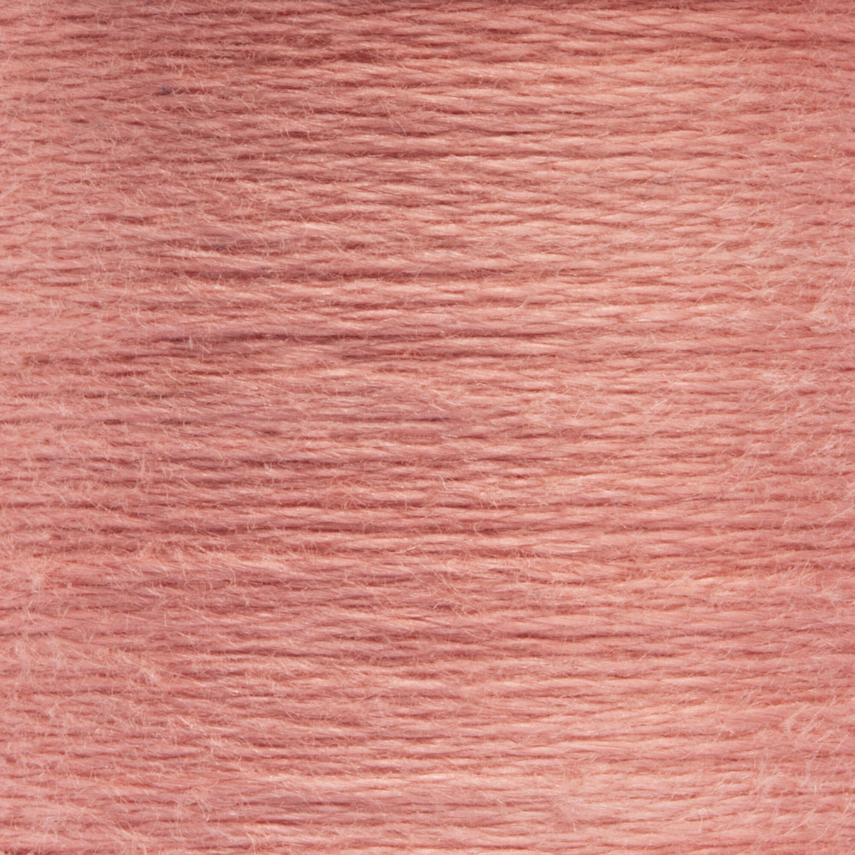 1022 Peony Medium Light