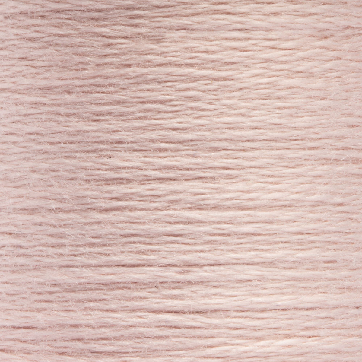 1026 Wineberry Very Light