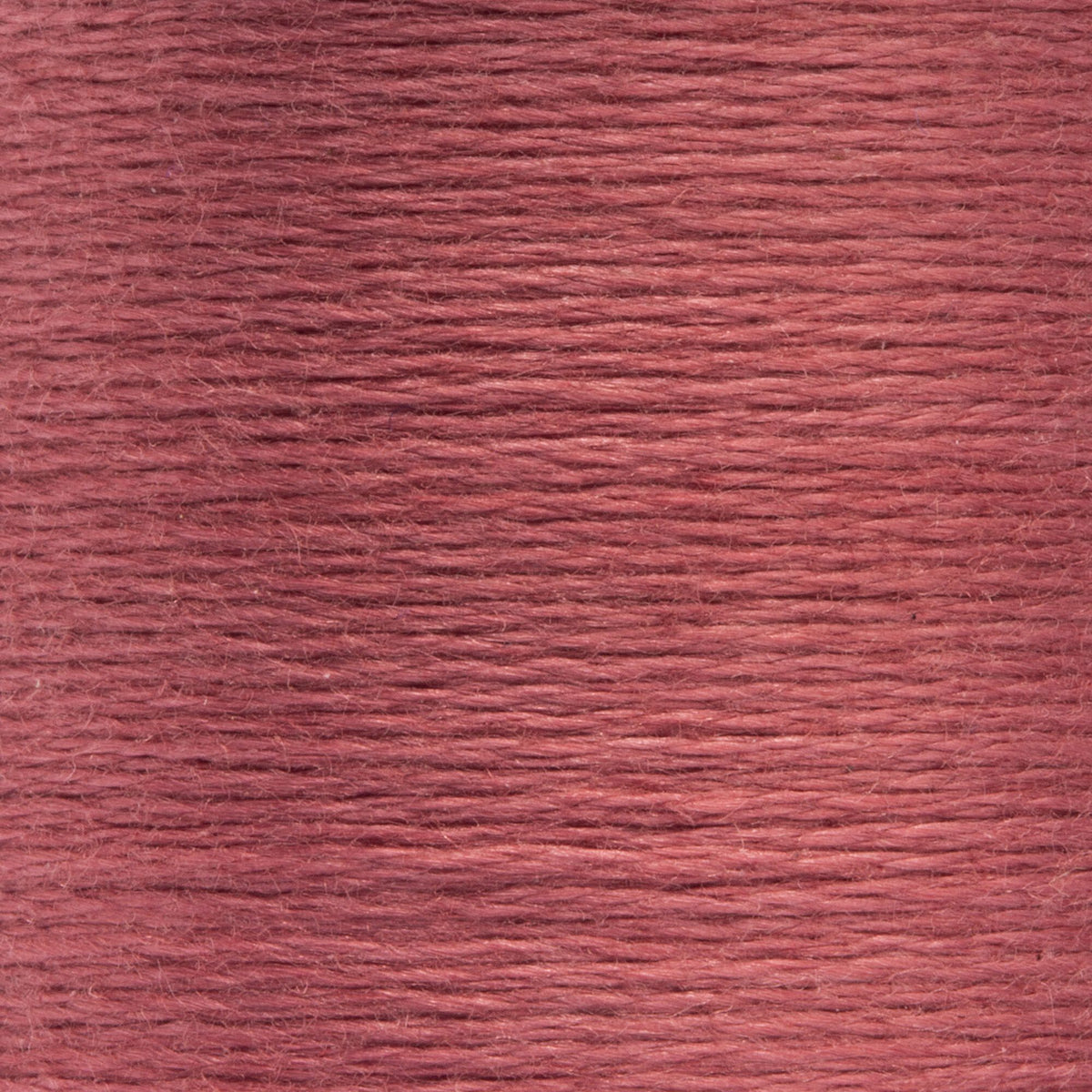 1027 Rose Wine Medium Dark