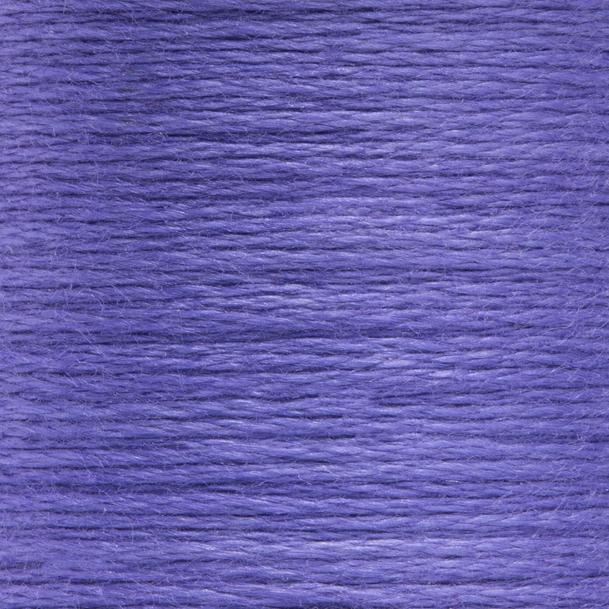 1030 Thistle Medium Dark