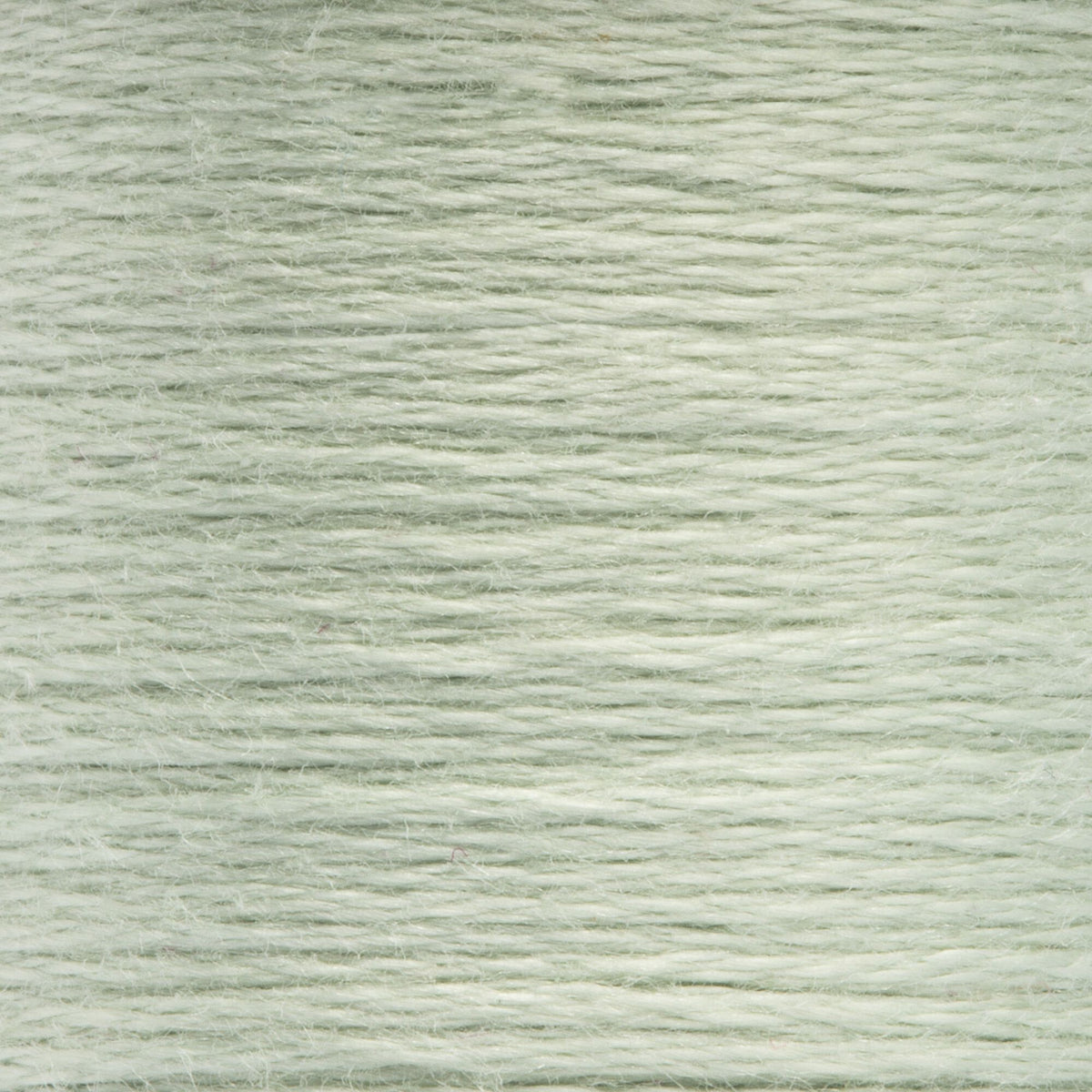 1042 Pine Very Light