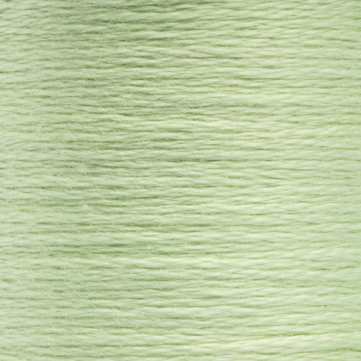 1043 Grass Green Very Light