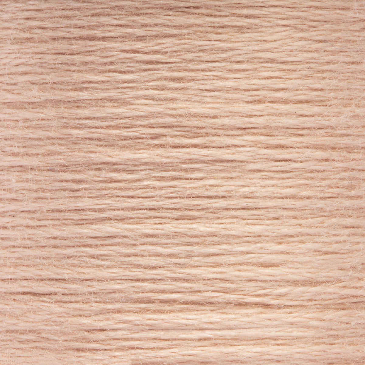 4146 Bisque Medium Light