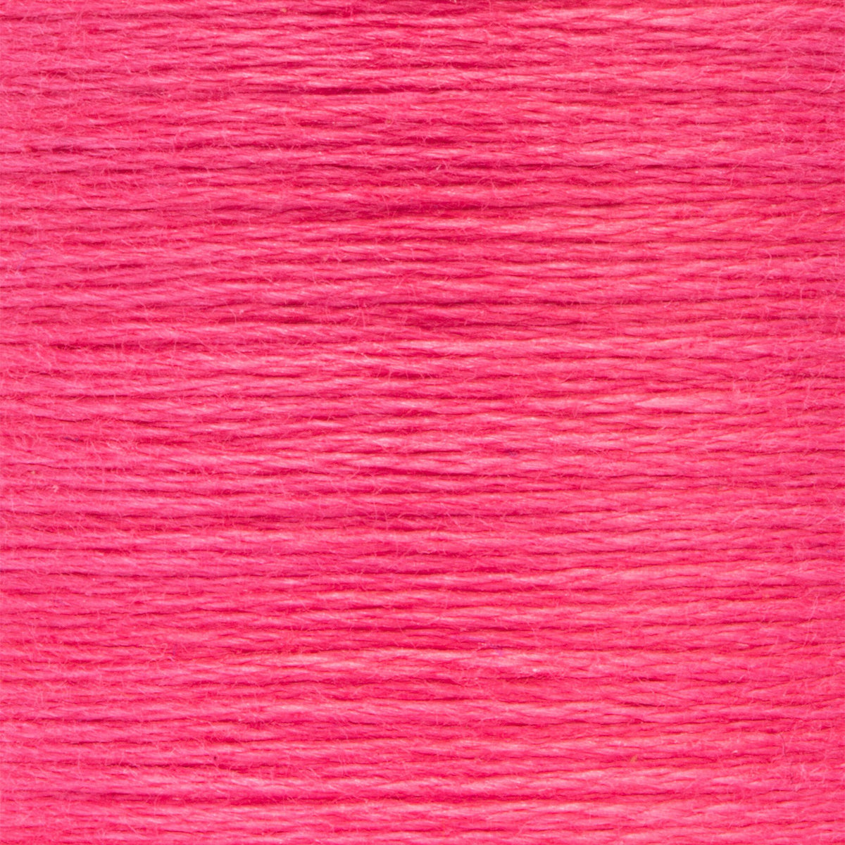 0054 China Rose Dark