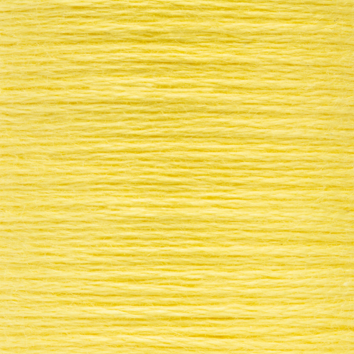 0289 Canary Yellow Medium Light