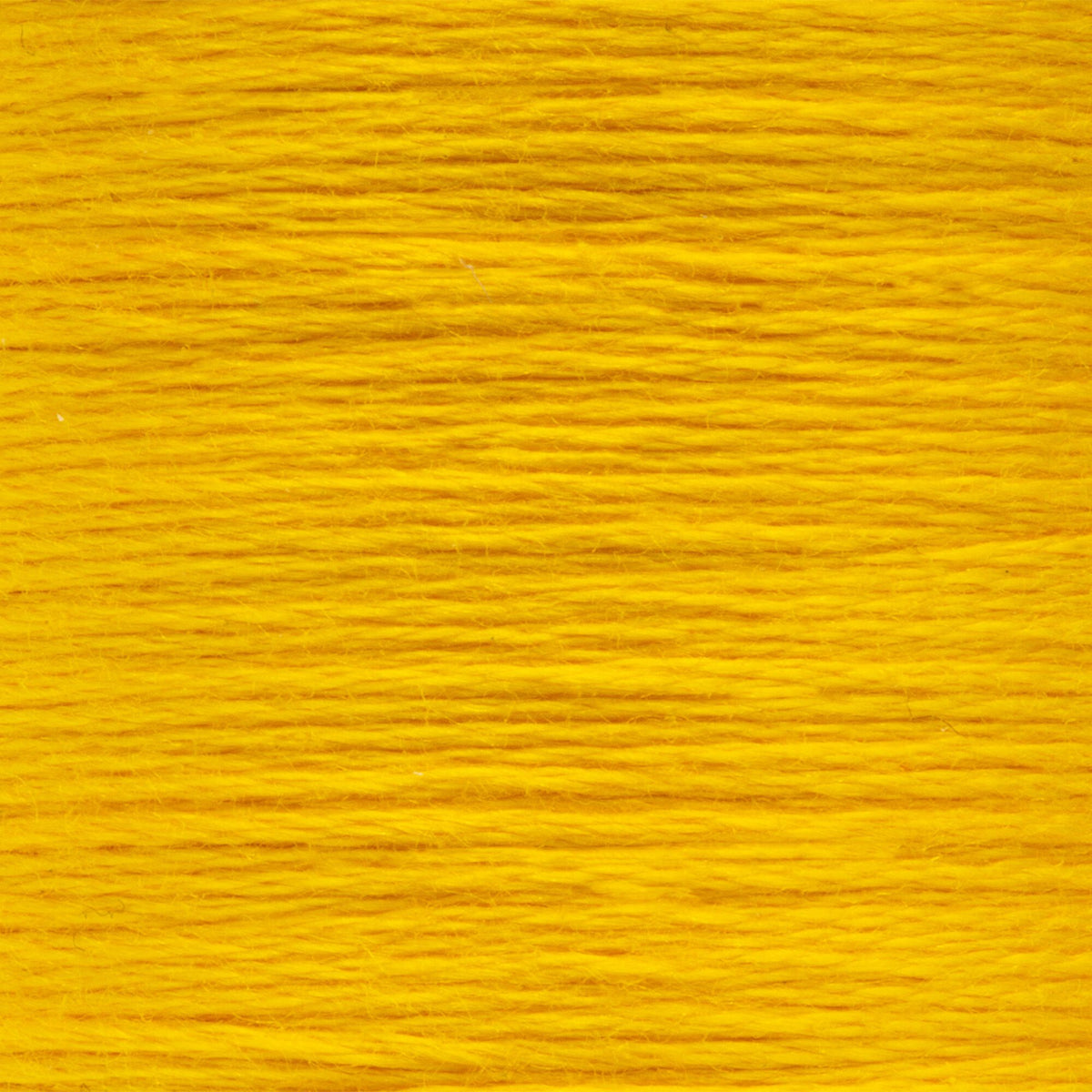 0291 Canary Yellow Dark