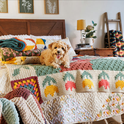 Bernat Bucolic Frolic Crochet Blanket Bernat Bucolic Frolic Crochet Blanket
