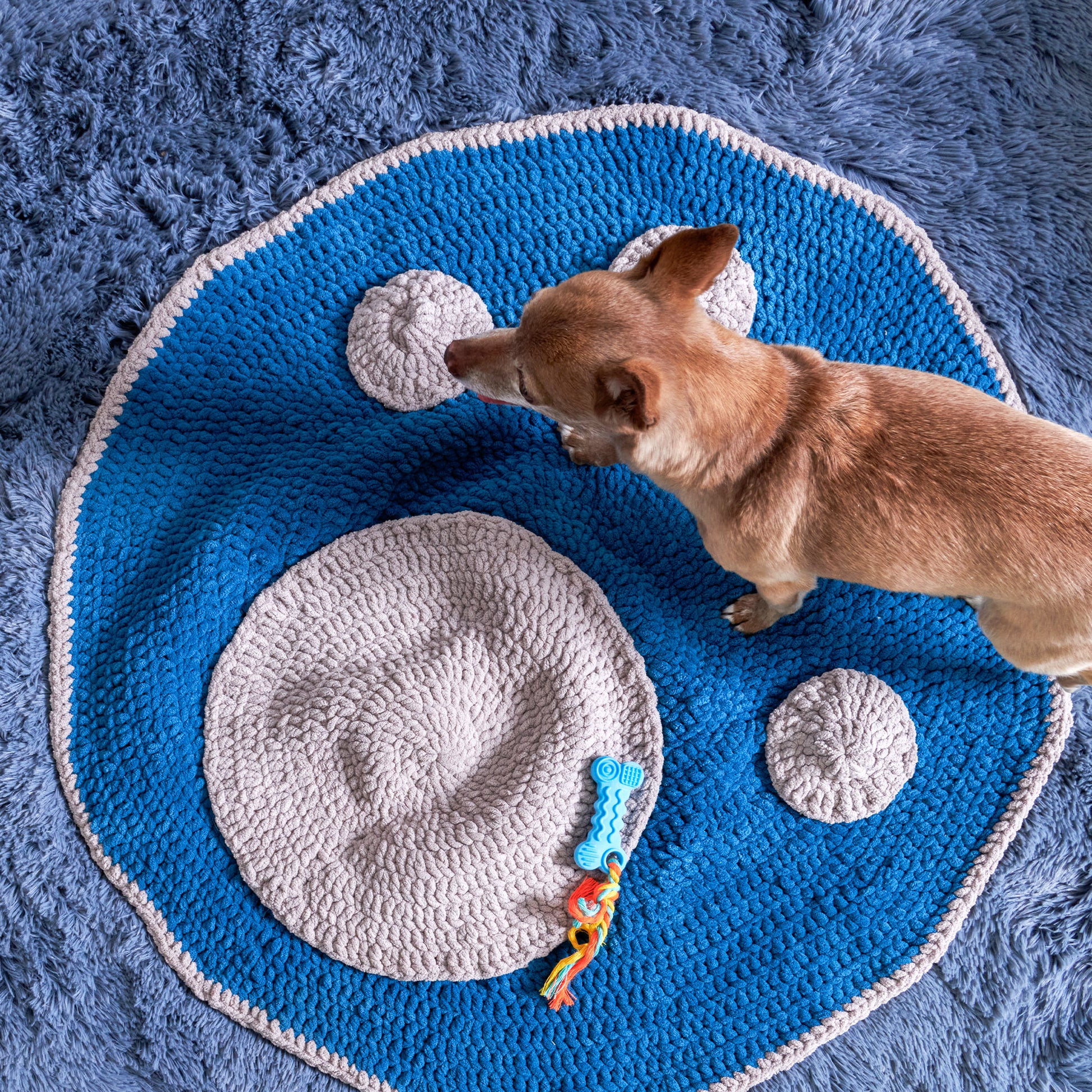 Free Bernat Paw Print Crochet Pet Rug Pattern