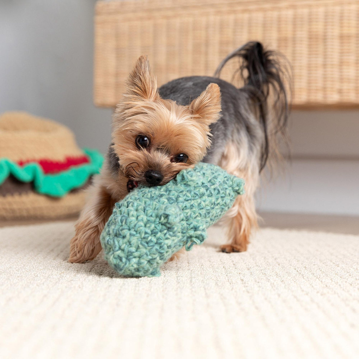 Crochet Toy made in Bernat Yarn