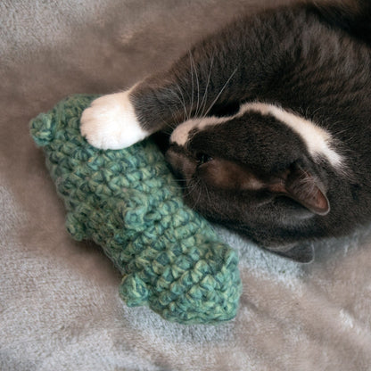 Bernat Crochet Pickle Cat Toy Crochet Toy made in Bernat Yarn