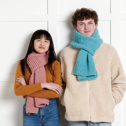 Bernat Knit Starter Scarf All Variants