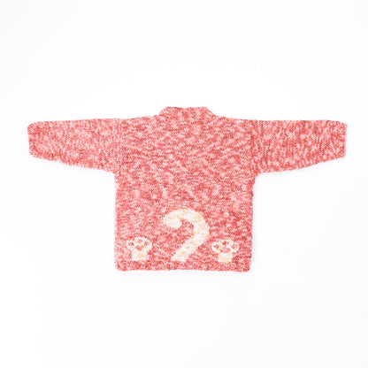 Bernat Purrfect Knit Pullover Bernat Purrfect Knit Pullover