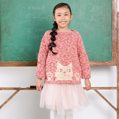 Bernat Purrfect Knit Pullover Bernat Purrfect Knit Pullover