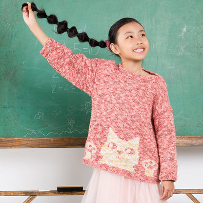 Bernat Purrfect Knit Pullover Bernat Purrfect Knit Pullover