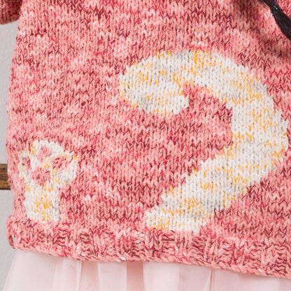 Bernat Purrfect Knit Pullover Bernat Purrfect Knit Pullover