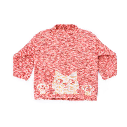 Bernat Purrfect Knit Pullover Bernat Purrfect Knit Pullover