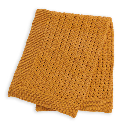 Bernat Do the Twist Knit Blanket Knit Blanket made in Bernat Plush Yarn