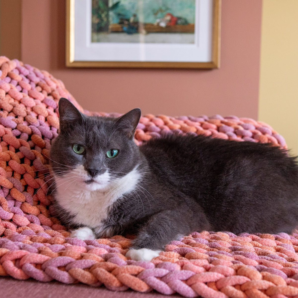 Knit Blanket made in Bernat Plush Big Yarn