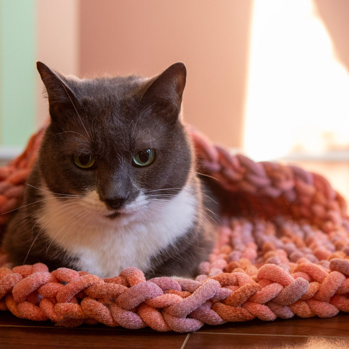 Knit Blanket made in Bernat Plush Big Yarn