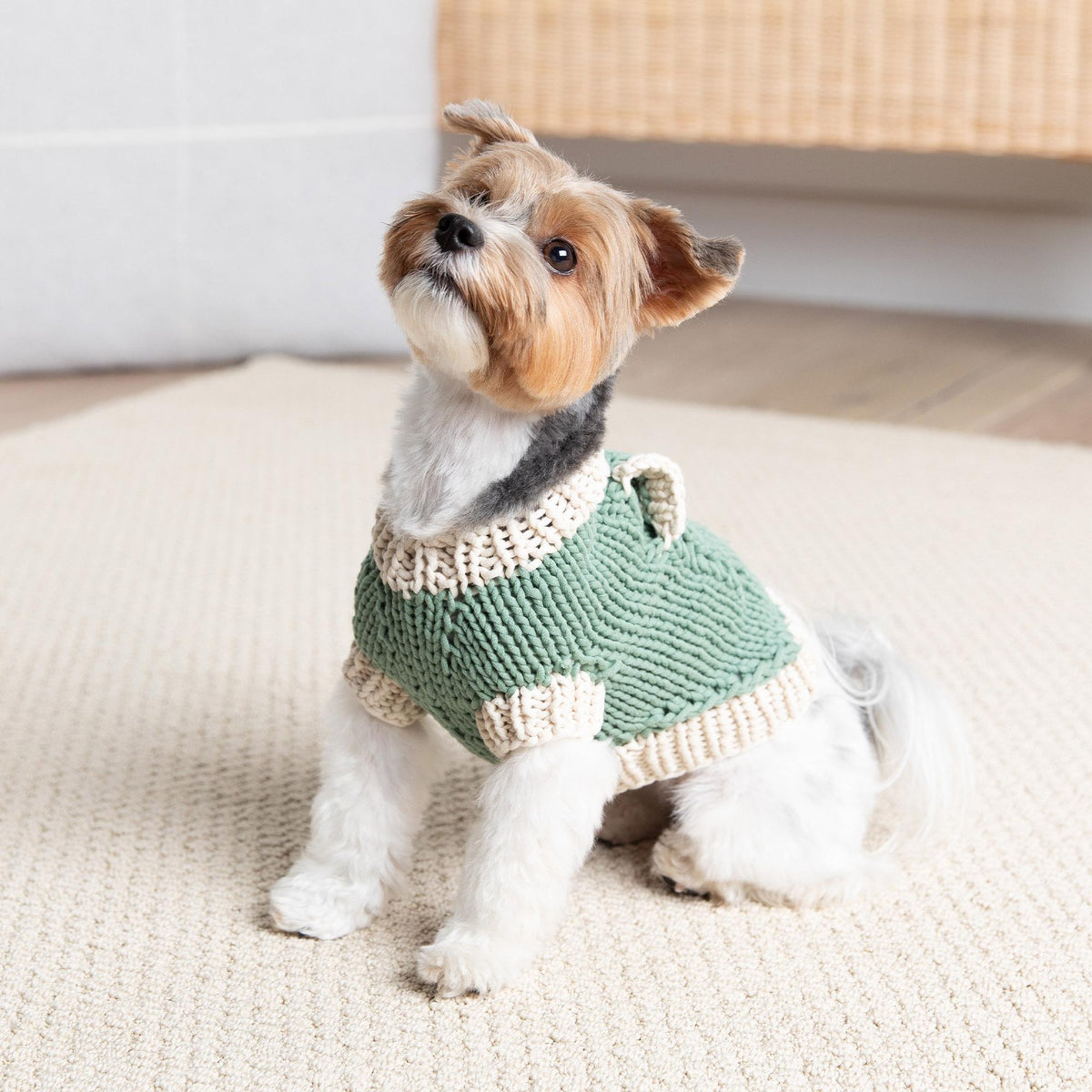 Knit Pet Sweater made in Bernat Maker Yarn