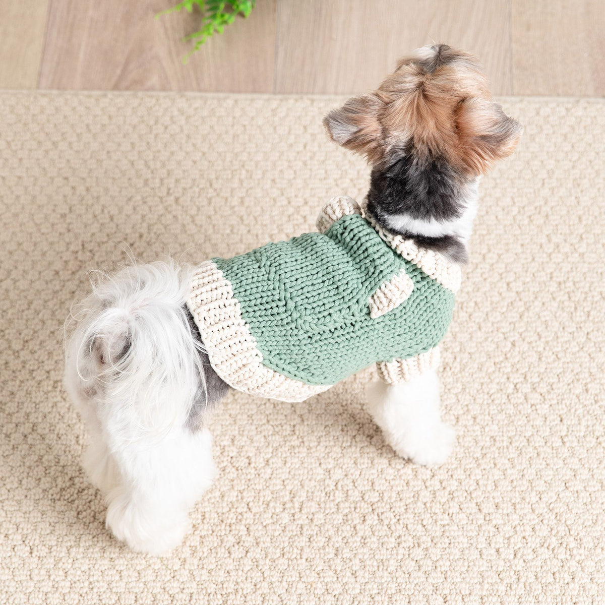 Knit Pet Sweater made in Bernat Maker Yarn