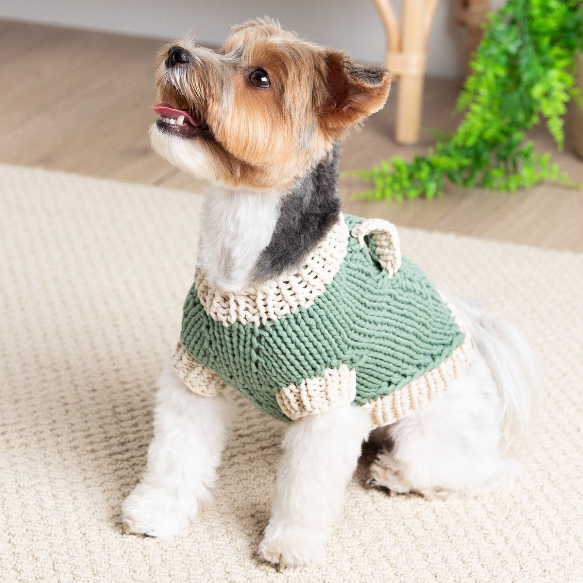 Knit Pet Sweater made in Bernat Maker Yarn