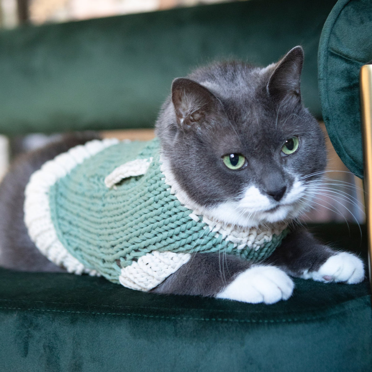 Knit Pet Sweater made in Bernat Maker Yarn