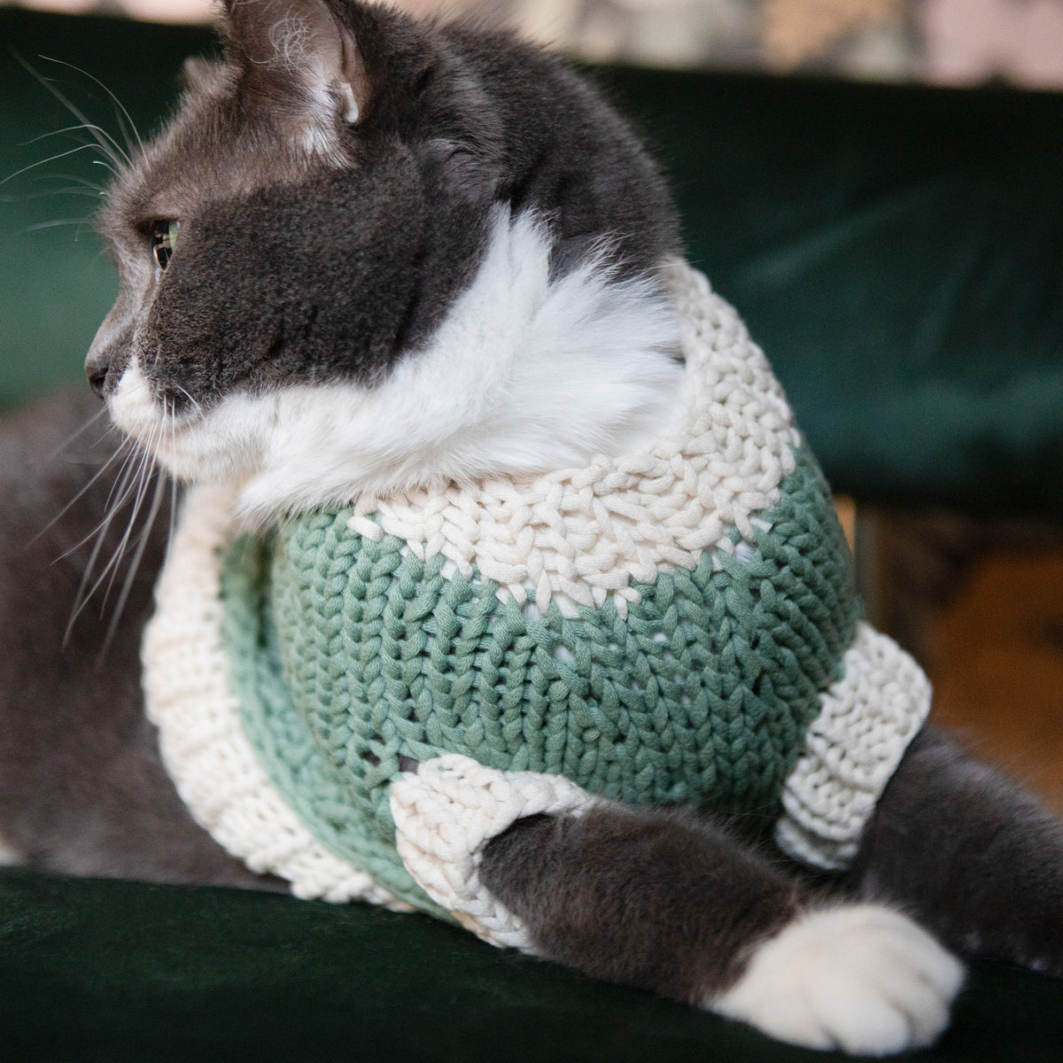 Knit Pet Sweater made in Bernat Maker Yarn