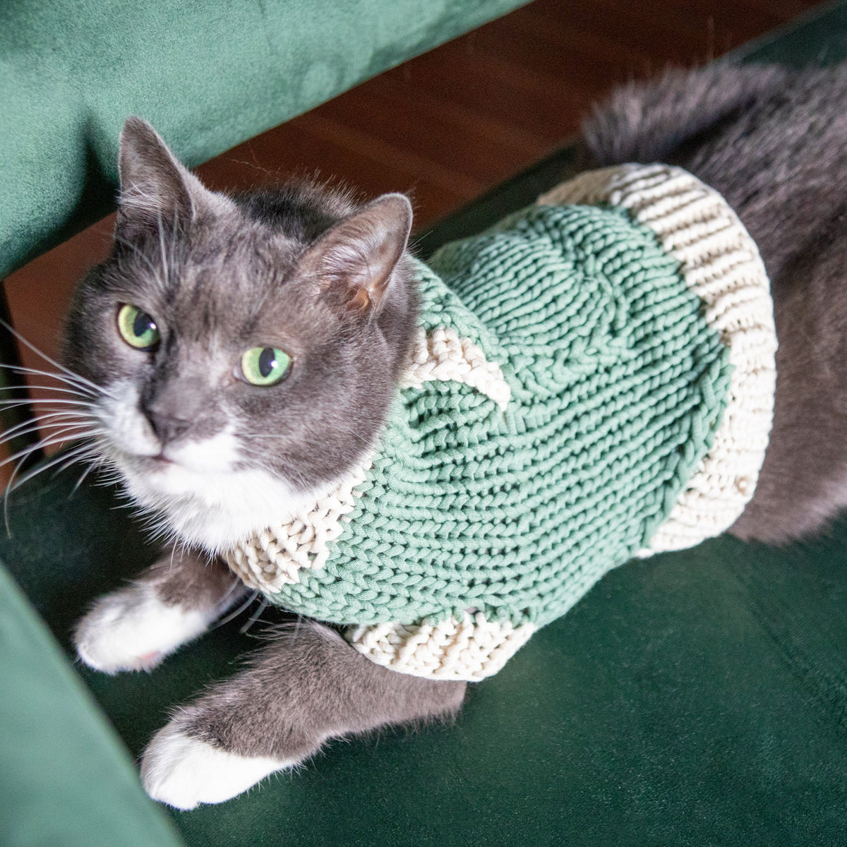 Knit Pet Sweater made in Bernat Maker Yarn