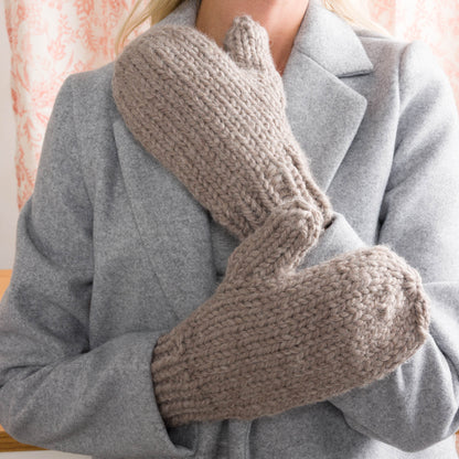 Bernat In a Snap Knit Mittens Bernat In a Snap Knit Mittens