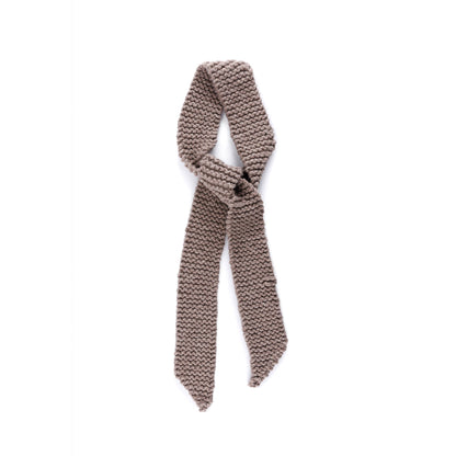 Bernat Edgepoint Knit Scarf Bernat Edgepoint Knit Scarf