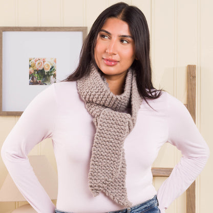 Bernat Edgepoint Knit Scarf Bernat Edgepoint Knit Scarf