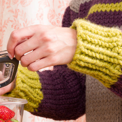 Bernat Cloudy Day Knit Sweater Bernat Cloudy Day Knit Sweater