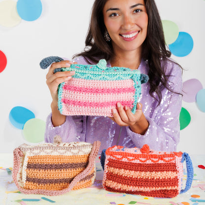 Caron Crochet Birthday Cake Bag All Variants