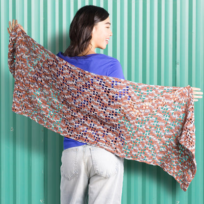Caron Lacy Zig Zag Crochet Shawl Crochet Shawl made in Caron Yarn