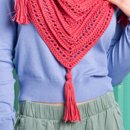 Caron Lace & Ribs Crochet Triangle Shawl Crochet Shawl made in Caron Yarn