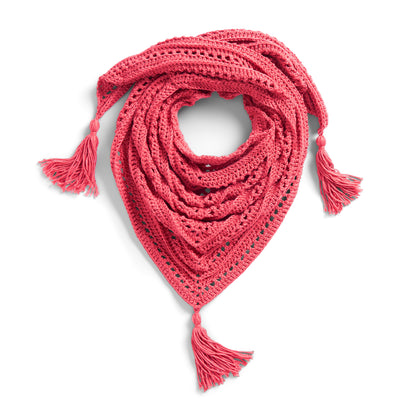 Caron Lace & Ribs Crochet Triangle Shawl Crochet Shawl made in Caron Yarn